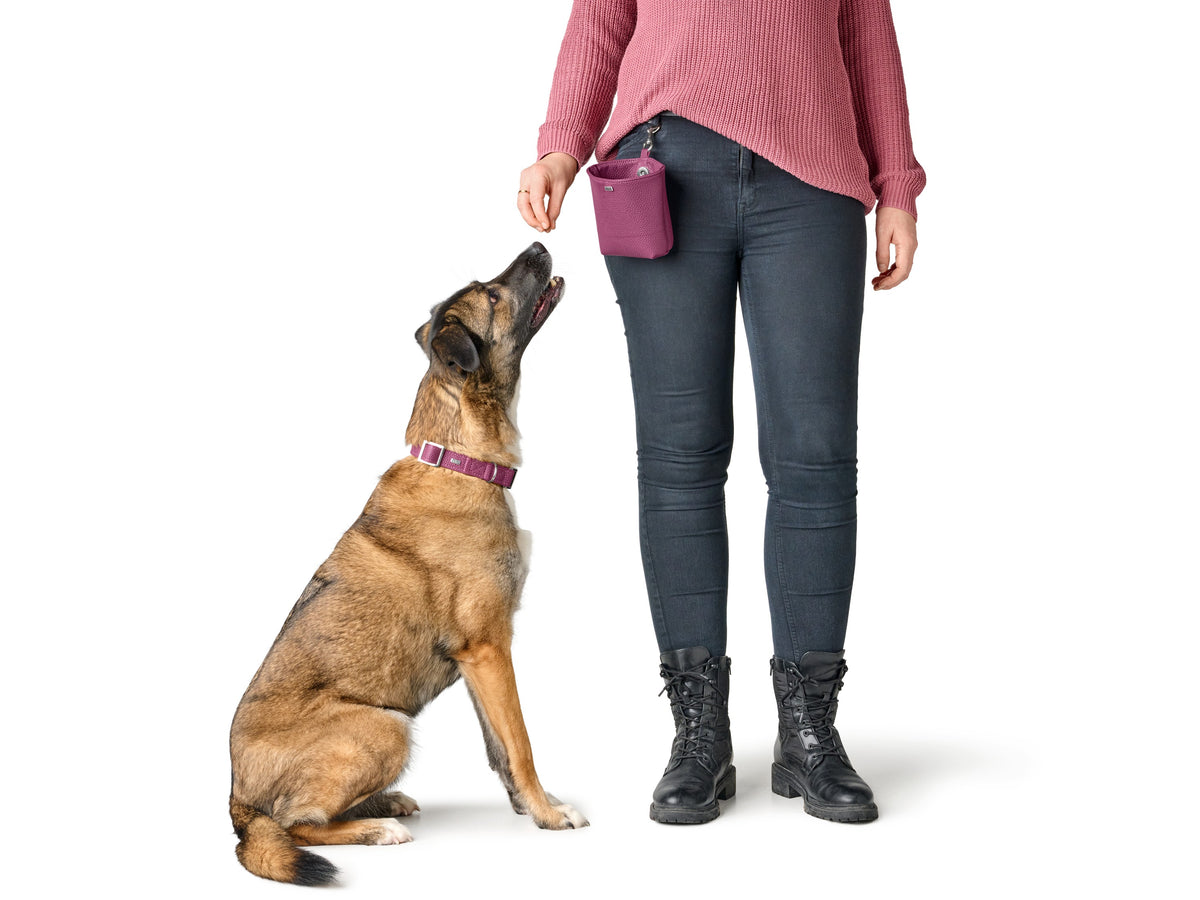 Vrecko na maškrty Hunter Sofia – malinová