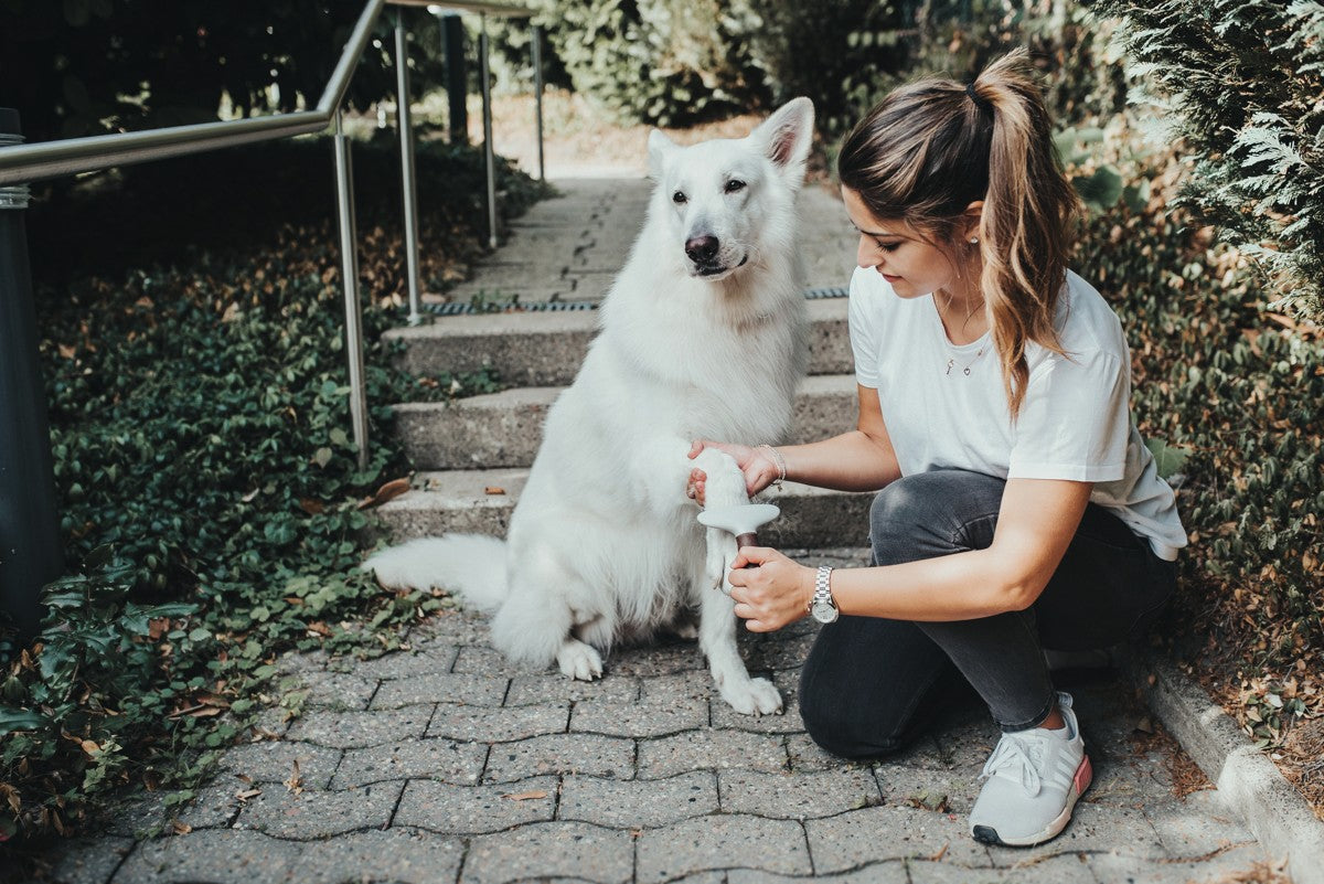 Dvojradové rozčesávacie hrablo pre psa Hunter Spa