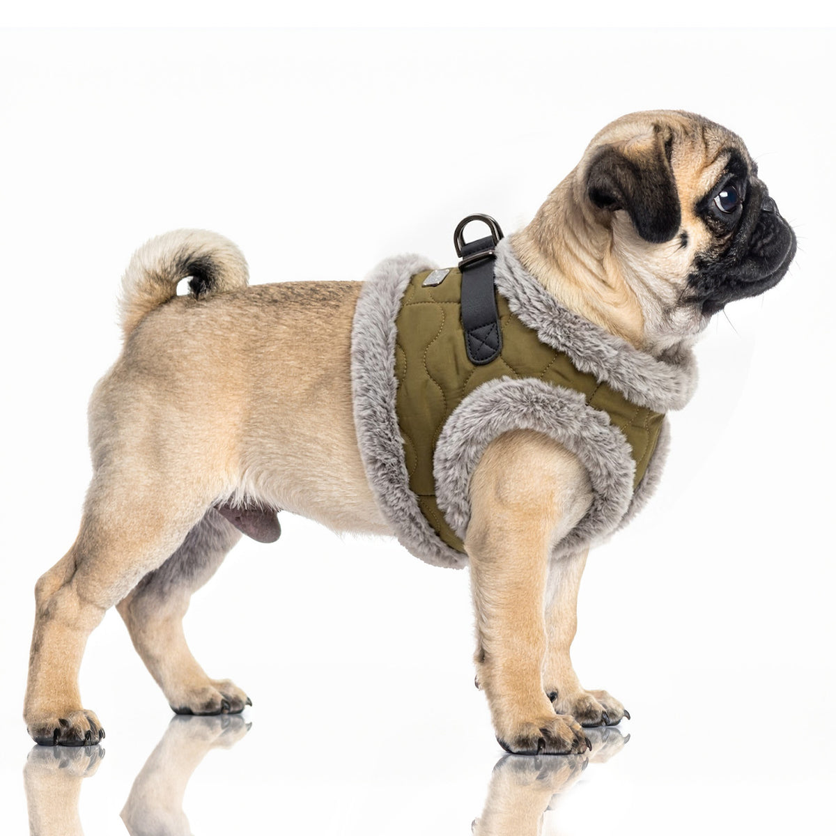 Postroj pre psa Milk&Pepper Matteo – khaki