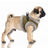 Postroj pre psa Milk&Pepper Matteo – khaki
