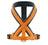 Postroj pre psa Hunter London Comfort – oranžová
